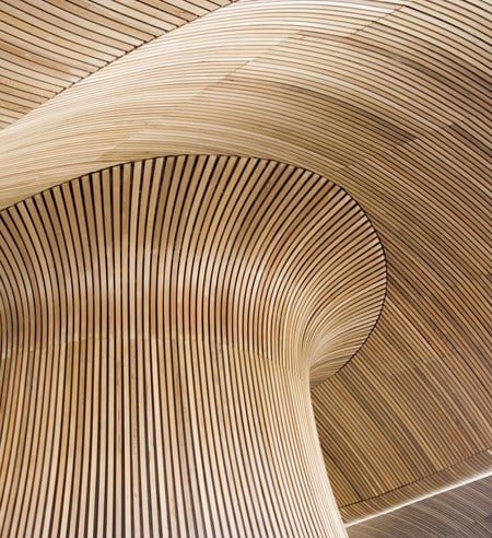 Ceiling details of Welsh Assembly Government Building. Reflecting the forms of a sandy beach.