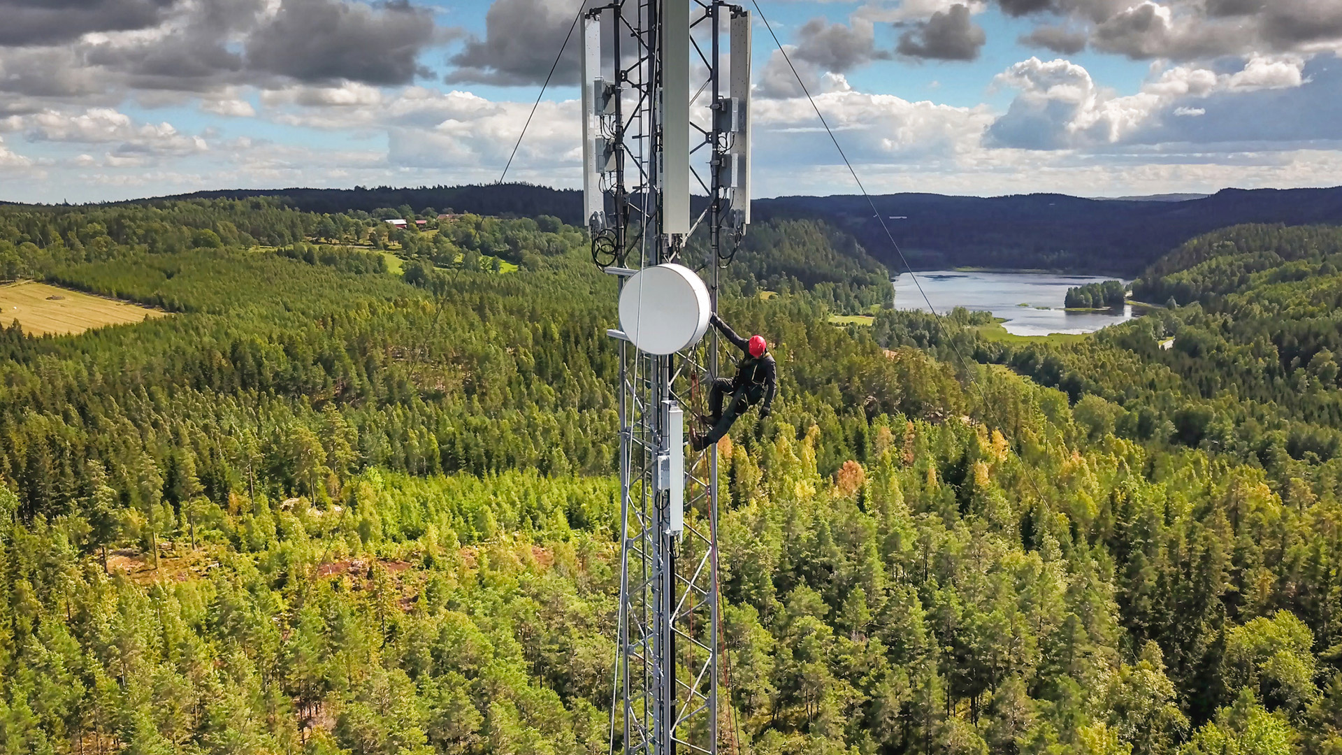 ¿Cómo podemos ayudarte?