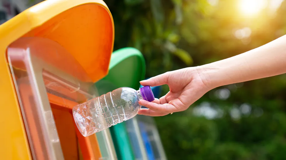 Waste Management Chatbot for Environmental Organization 